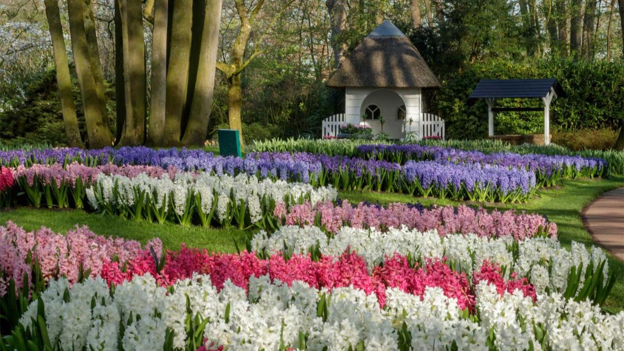 Molecaten Park Noordduinen Катвейк-ан-Зе Экстерьер фото