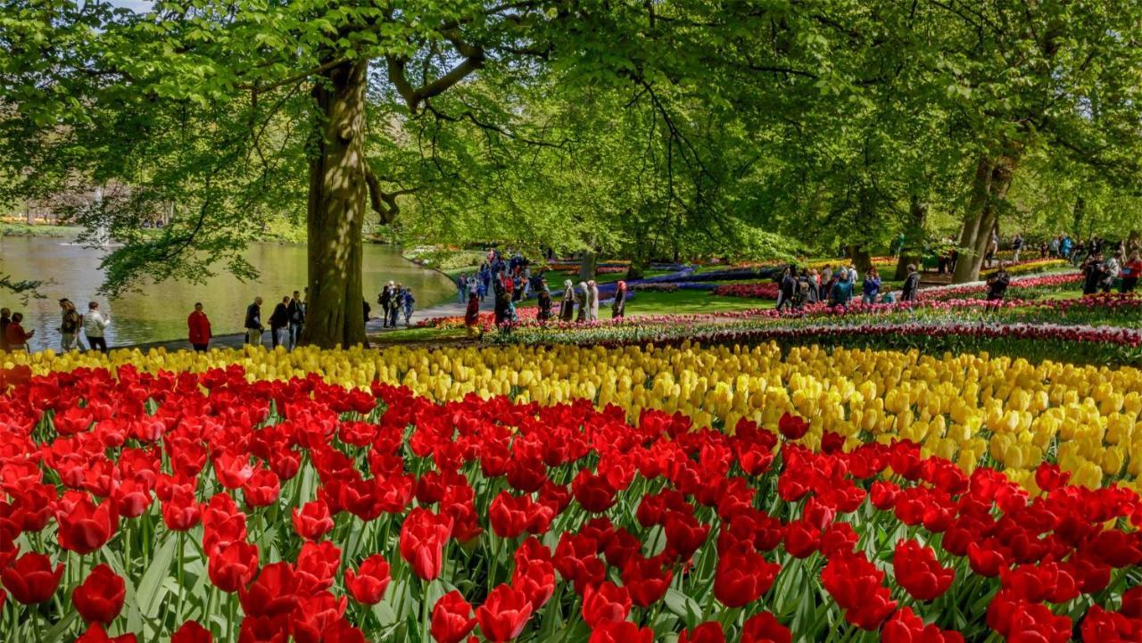 Molecaten Park Noordduinen Катвейк-ан-Зе Экстерьер фото